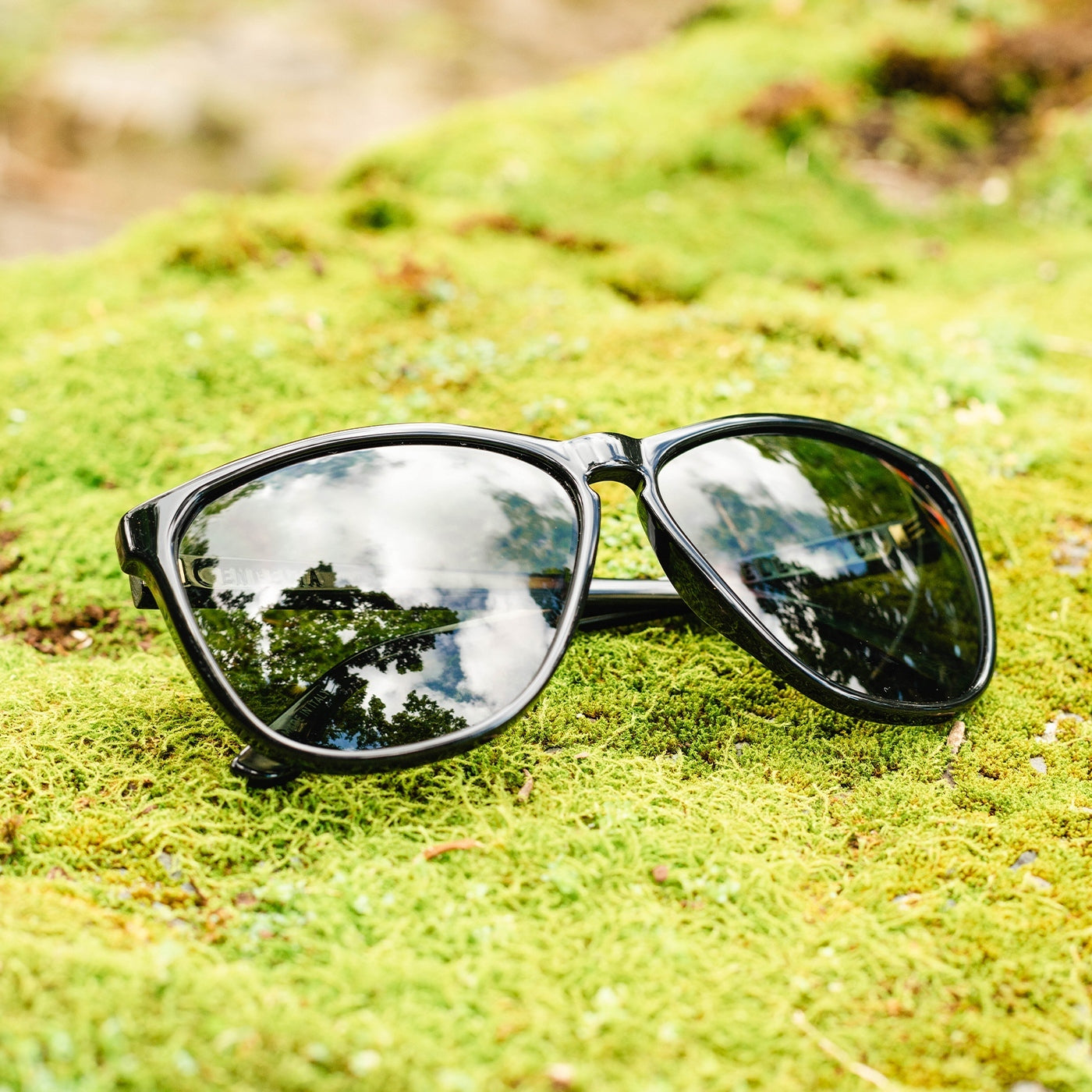 ENCELIA - TORTOISE SHELL / M BRONZE